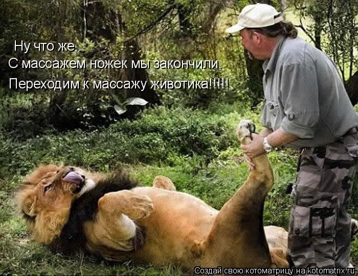 Ну что же... С массажем ножек мы закончили, Переходим к массажу животика!!!!!... Котоматрица: Ну что же... С массажем ножек мы закончили, Переходим к массажу животика!!!!!
