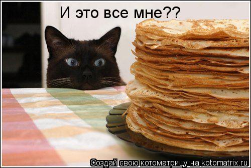 И это все мне??... Котоматрица: И это все мне??
