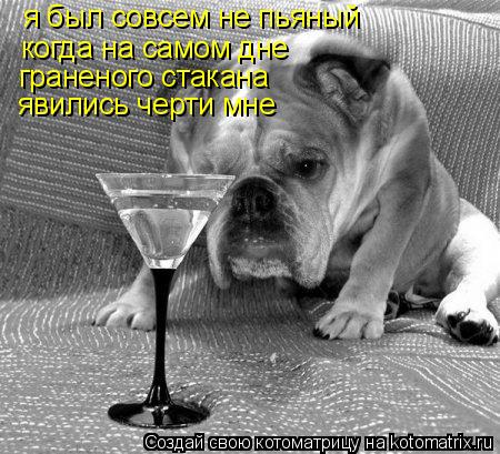 я был совсем не пьяный когда на самом дне граненого стакана явились черти мне... Котоматрица: я был совсем не пьяный когда на самом дне граненого стакана явились черти мне