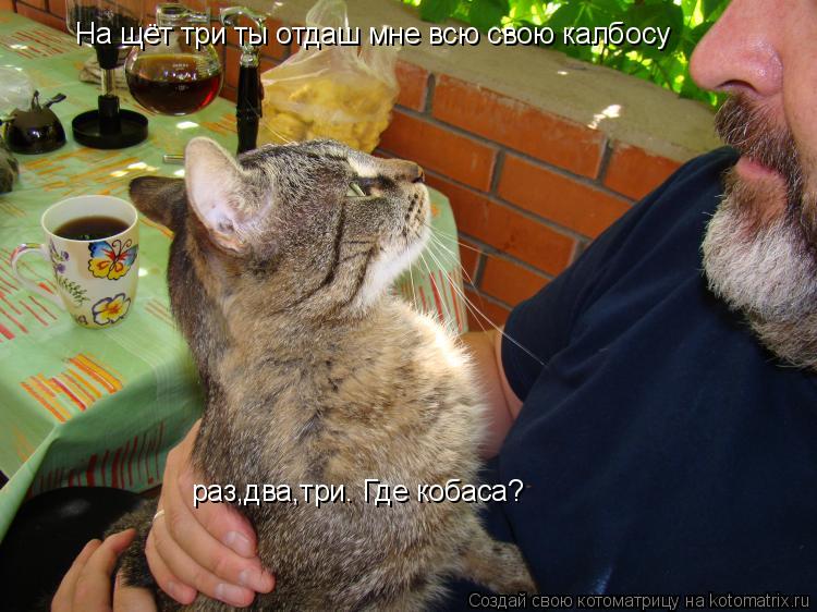 На щёт три ты отдаш мне всю свою калбосу раз,два,три. Где кобаса?... Котоматрица: На щёт три ты отдаш мне всю свою калбосу раз,два,три. Где кобаса?