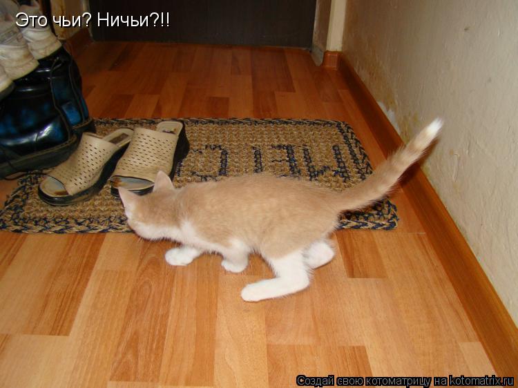 Это чьи? Ничьи?!!... Котоматрица: Это чьи? Ничьи?!!