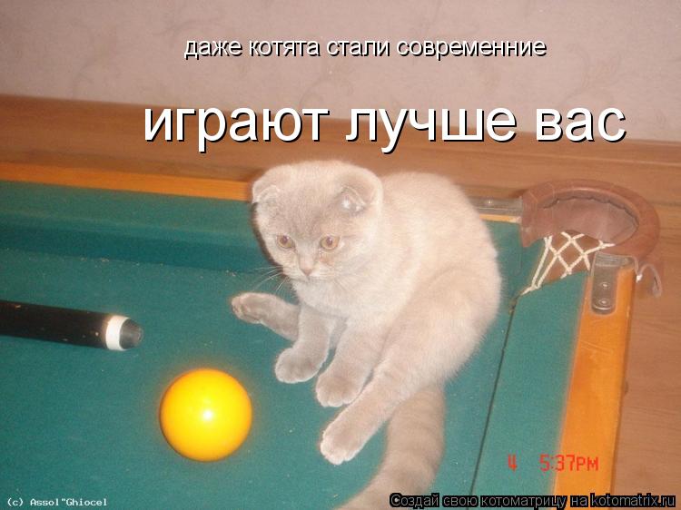 даже котята стали современние играют лучше вас... Котоматрица: даже котята стали современние играют лучше вас