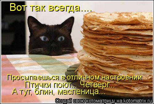 Вот так всегда.... Просыпаешься в отличном настроении Птички поют... Четверг... А тут, блин, маслениц... Котоматрица: Вот так всегда.... Просыпаешься в отличном настроении Птички поют... Четверг... А тут, блин, масленица...