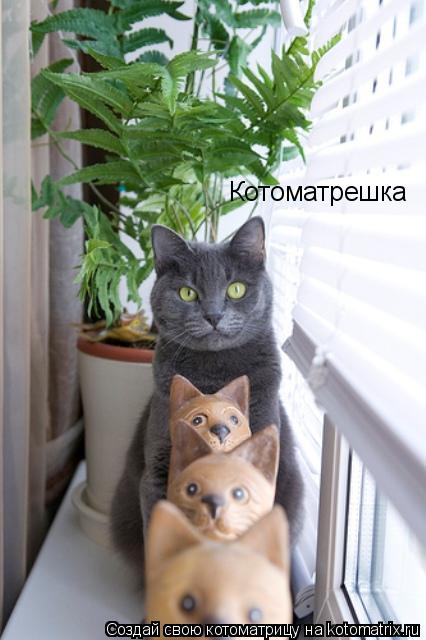 Котоматрешка... Котоматрица: Котоматрешка