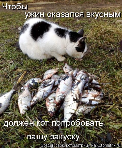 Чтобы ужин оказался вкусным должен кот попробовать вашу закуску.... Котоматрица: Чтобы ужин оказался вкусным должен кот попробовать вашу закуску.