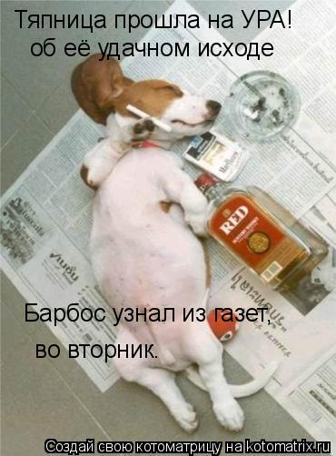 Тяпница прошла на УРА! об её удачном исходе Барбос узнал из газет, во вторник.... Котоматрица: Тяпница прошла на УРА! об её удачном исходе Барбос узнал из газет, во вторник.