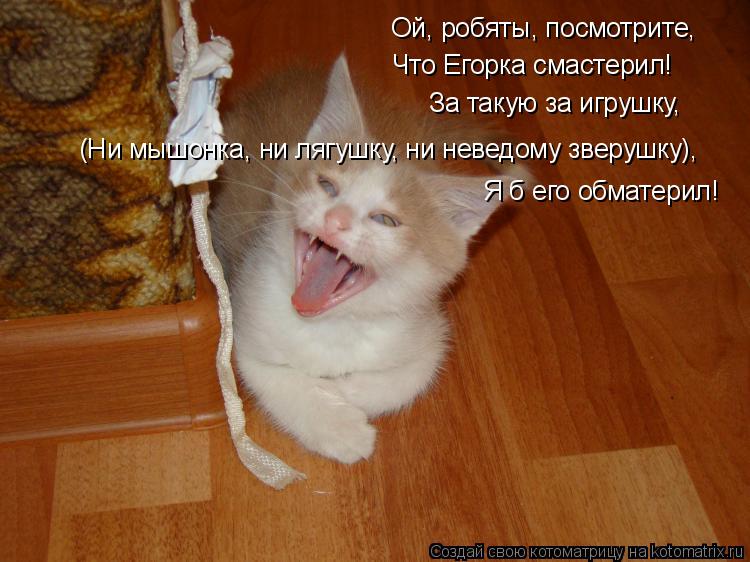 Ой, робяты, посмотрите, Что Егорка смастерил! За такую за игрушку, (Ни мышонка, ни лягушку, ни неведо... Котоматрица: Ой, робяты, посмотрите, Что Егорка смастерил! За такую за игрушку, (Ни мышонка, ни лягушку, ни неведому зверушку), Я б его обматерил!