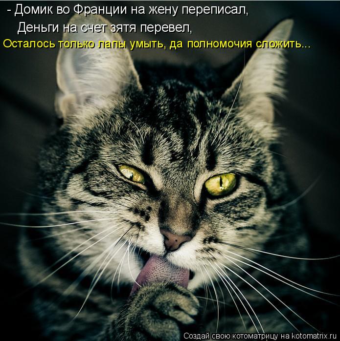 Деньги на счет зятя перевел, Осталось только лапы умыть, да полномочия сложить... - Домик во Франции... Котоматрица: Деньги на счет зятя перевел, Осталось только лапы умыть, да полномочия сложить... - Домик во Франции на жену переписал,