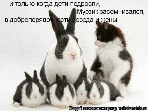 и только когда дети подросли, Мурзик засомнивался, в добропорядочности соседа и жены.... Котоматрица: и только когда дети подросли, Мурзик засомнивался, в добропорядочности соседа и жены.