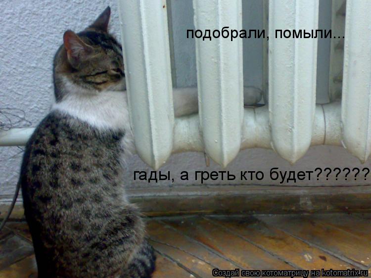 подобрали, помыли... гады, а греть кто будет??????... Котоматрица: подобрали, помыли... гады, а греть кто будет??????