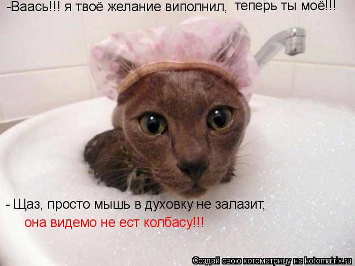 -Ваась!!! я твоё желание виполнил, -Ваась!!! я твоё желание виполнил, теперь ты моё!!! - Щаз, просто... Котоматрица: -Ваась!!! я твоё желание виполнил, -Ваась!!! я твоё желание виполнил, теперь ты моё!!! - Щаз, просто мышь в духовку не залазит, она видемо не ест к