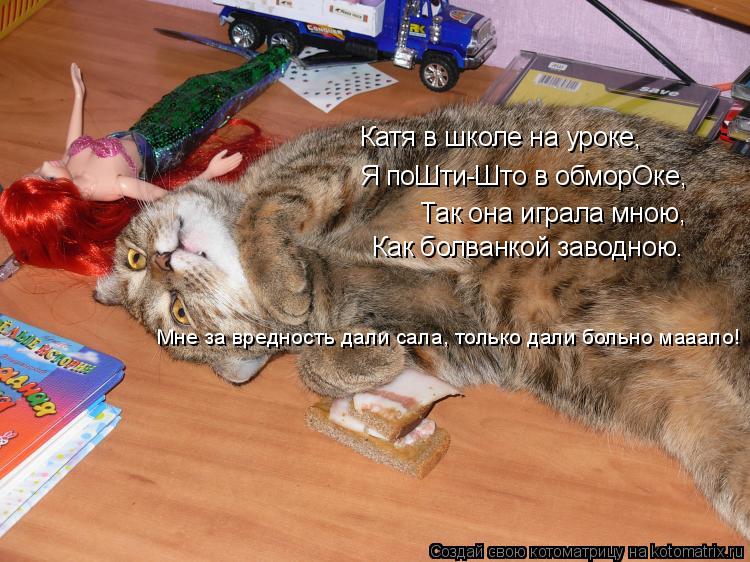 Катя в школе на уроке, Я поШти-Што в обморОке, Так она играла мною, Как болванкой заводною. Мне за вр... Котоматрица: Катя в школе на уроке, Я поШти-Што в обморОке, Так она играла мною, Как болванкой заводною. Мне за вредность дали сала, только дали больно маа