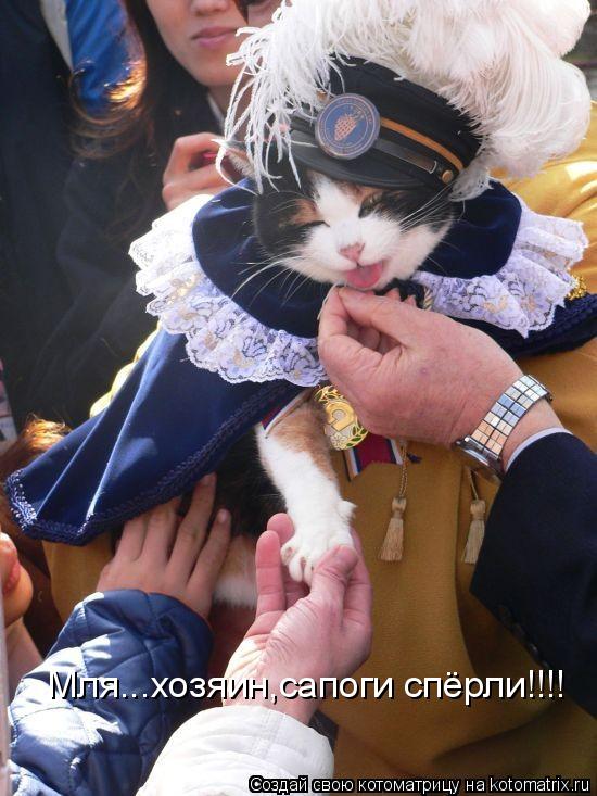 Мля...хозяин,сапоги спёрли!!!!... Котоматрица: Мля...хозяин,сапоги спёрли!!!!