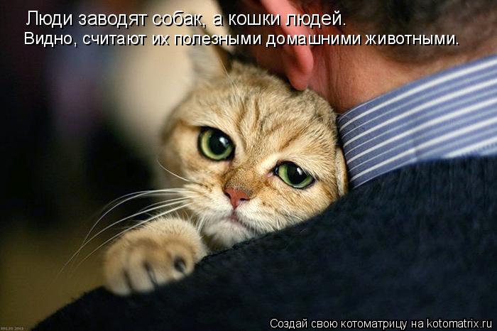 Люди заводят собак, а кошки людей. Видно, считают их полезными домашними животными.... Котоматрица: Люди заводят собак, а кошки людей. Видно, считают их полезными домашними животными.