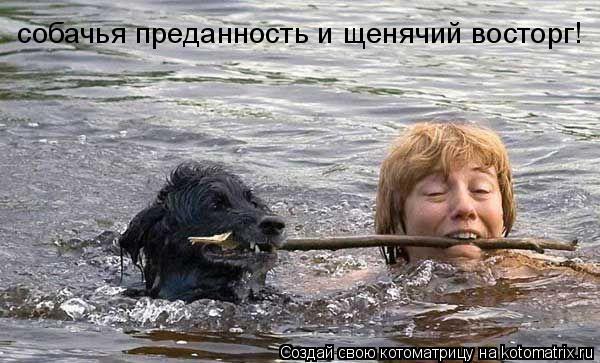собачья преданность и щенячий восторг!... Котоматрица: собачья преданность и щенячий восторг!