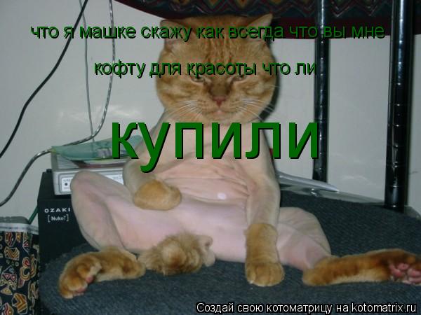 что я машке скажу как всегда что вы мне кофту для красоты что ли купили... Котоматрица: что я машке скажу как всегда что вы мне кофту для красоты что ли купили