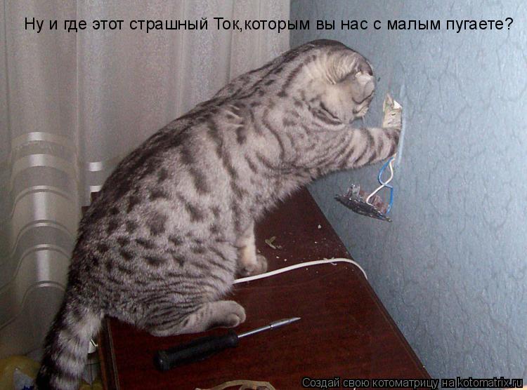 Ну и где этот страшный Ток,которым вы нас с малым пугаете?... Котоматрица: Ну и где этот страшный Ток,которым вы нас с малым пугаете?