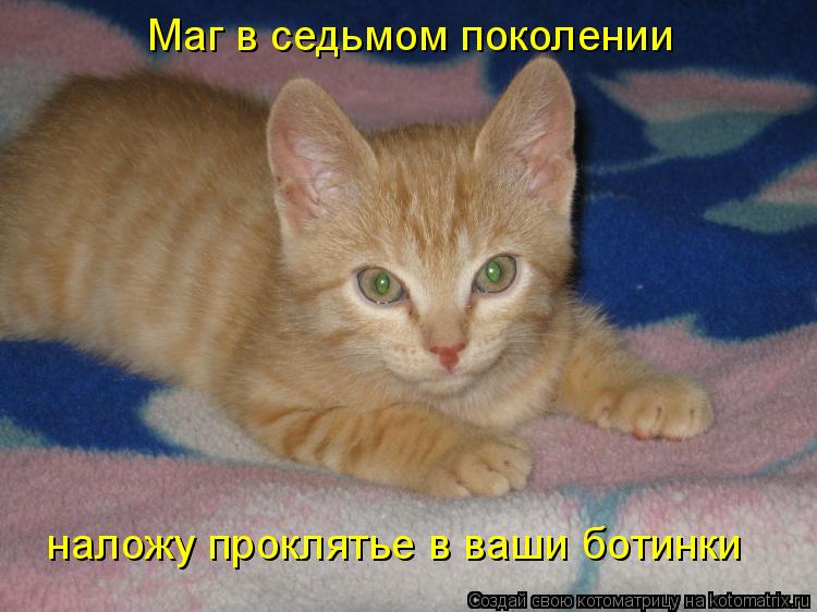 Маг в седьмом поколении наложу проклятье в ваши ботинки... Котоматрица: Маг в седьмом поколении наложу проклятье в ваши ботинки