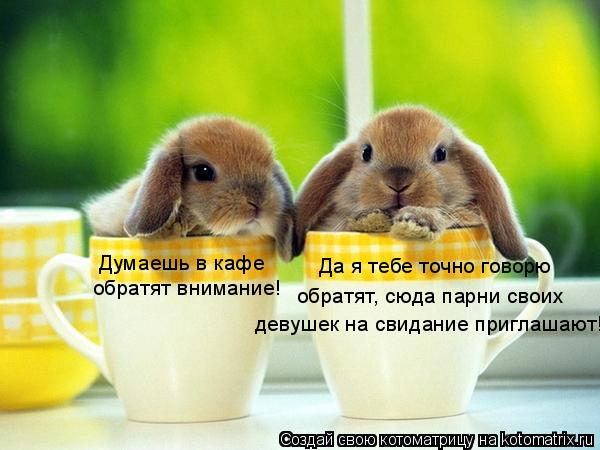 Думаешь в кафе обратят внимание! Да я тебе точно говорю обратят, сюда парни своих девушек на свидан... Котоматрица: Думаешь в кафе обратят внимание! Да я тебе точно говорю обратят, сюда парни своих девушек на свидание приглашают!