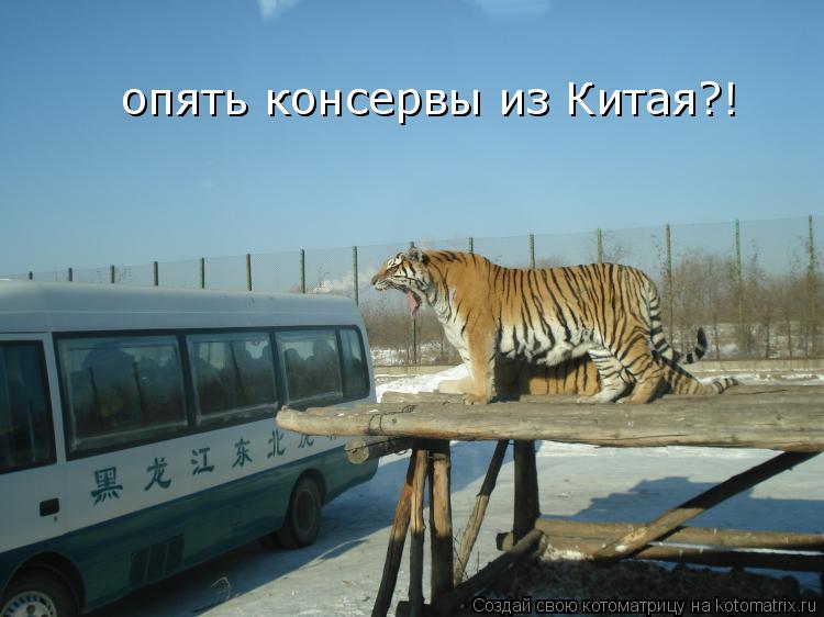 опять консервы из Китая?!... Котоматрица: опять консервы из Китая?!