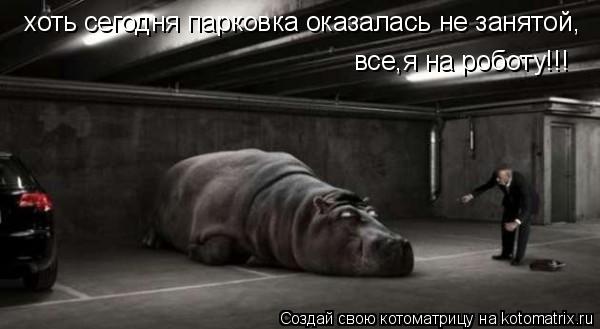 хоть сегодня парковка оказалась не занятой, все,я на роботу!!!... Котоматрица: хоть сегодня парковка оказалась не занятой, все,я на роботу!!!