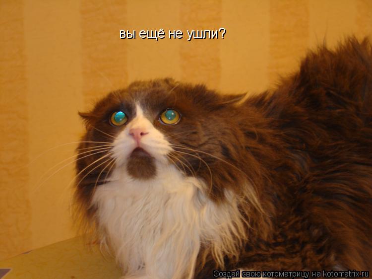 вы ещё не ушли?... Котоматрица: вы ещё не ушли?