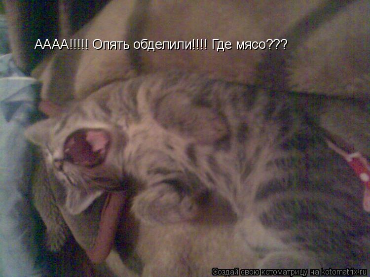 АААА!!!!! Опять обделили!!!! Где мясо???... Котоматрица: АААА!!!!! Опять обделили!!!! Где мясо???
