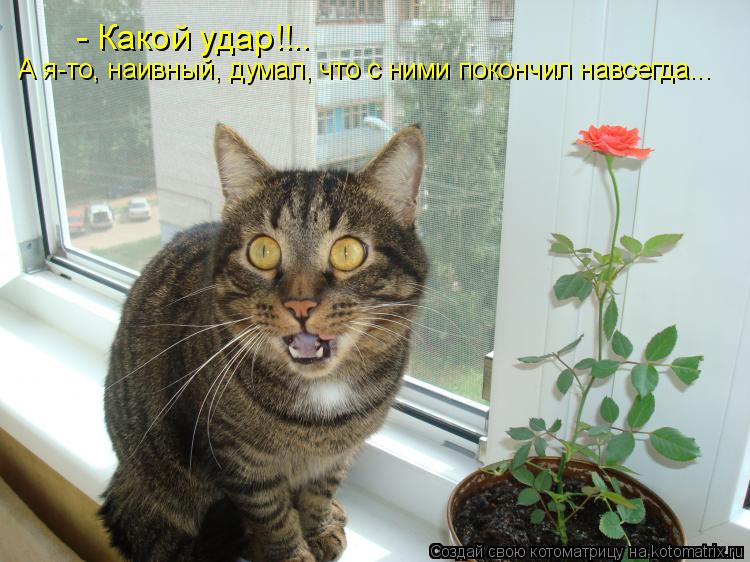 - Какой удар!!.. А я-то, наивный, думал, что с ними покончил навсегда...... Котоматрица: - Какой удар!!.. А я-то, наивный, думал, что с ними покончил навсегда...
