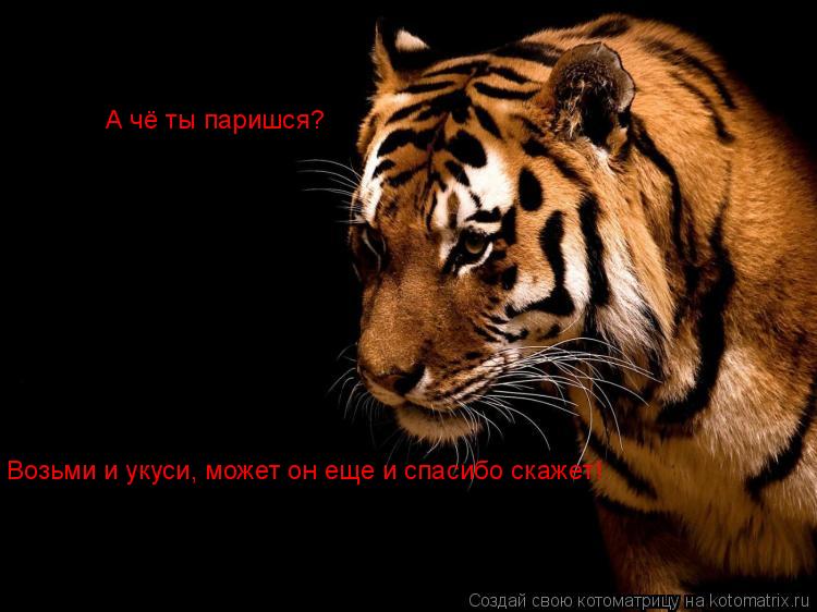 А чё ты паришся? Возьми и укуси, может он еще и спасибо скажет! Возьми и укуси, может он еще и спасиб... Котоматрица: А чё ты паришся? Возьми и укуси, может он еще и спасибо скажет! Возьми и укуси, может он еще и спасибо скажет!