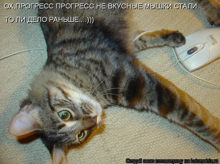 ОХ,ПРОГРЕСС ПРОГРЕСС.НЕ ВКУСНЫЕ МЫШКИ СТАЛИ. ТО ЛИ ДЕЛО РАНЬШЕ....)))... Котоматрица: ОХ,ПРОГРЕСС ПРОГРЕСС.НЕ ВКУСНЫЕ МЫШКИ СТАЛИ. ТО ЛИ ДЕЛО РАНЬШЕ....)))
