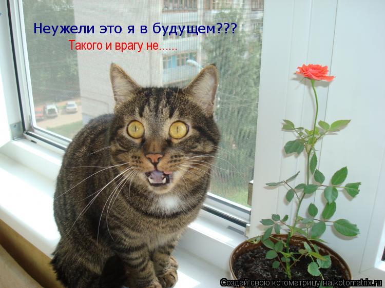 Неужели это я в будущем??? Такого и врагу не......... Котоматрица: Неужели это я в будущем??? Такого и врагу не......