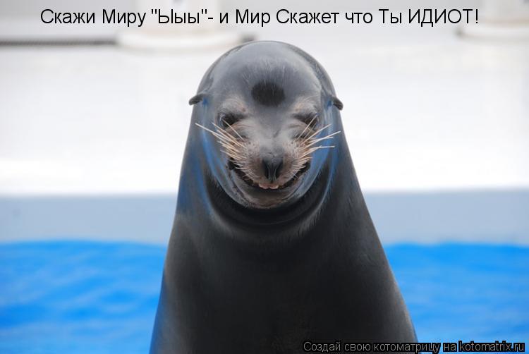 Скажи Миру "Ыыы"- и Мир Скажет что Ты ИДИОТ!... Котоматрица: Скажи Миру "Ыыы"- и Мир Скажет что Ты ИДИОТ!