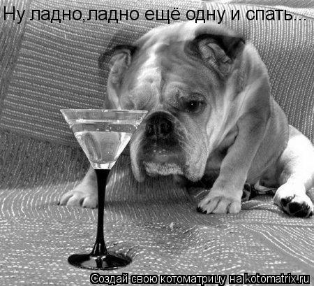 Ну ладно,ладно ещё одну и спать...... Котоматрица: Ну ладно,ладно ещё одну и спать...