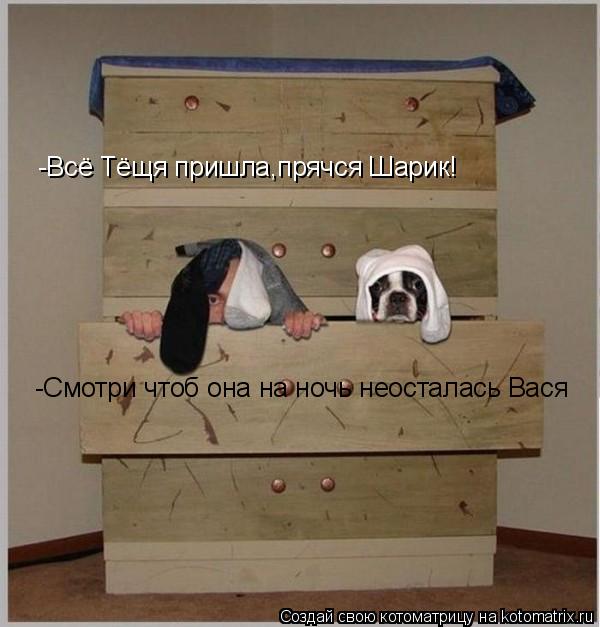 -Смотри чтоб она на ночь неосталась Вася -Всё Тёщя пришла,прячся Шарик!... Котоматрица: -Смотри чтоб она на ночь неосталась Вася -Всё Тёщя пришла,прячся Шарик!