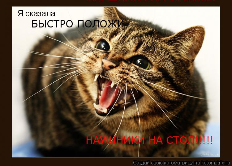 Я сказала БЫСТРО ПОЛОЖИ НАУШНИКИ НА СТОЛ!!!!! НАУШНИКИ НА СТОЛ!!!!!... Котоматрица: Я сказала БЫСТРО ПОЛОЖИ НАУШНИКИ НА СТОЛ!!!!! НАУШНИКИ НА СТОЛ!!!!!