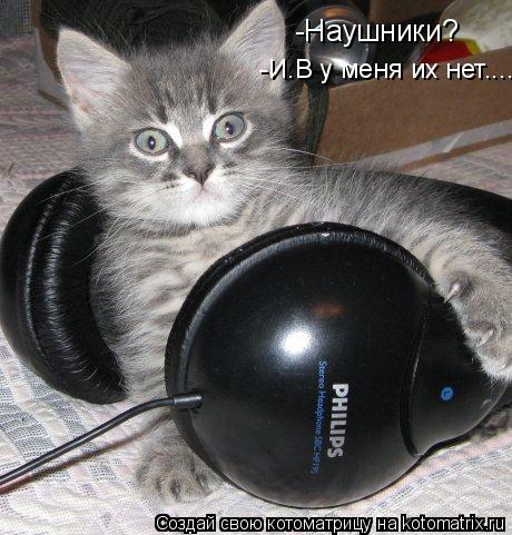 -Наушники? -И.В у меня их нет....... Котоматрица: -Наушники? -И.В у меня их нет....