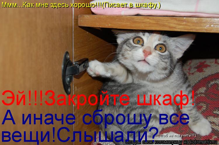 Эй!!!Закройте шкаф! А иначе сброшу все вещи!Слышали? Ммм...Как мне здесь хорошо!!!(Писает в шкафу.) (... Котоматрица: Эй!!!Закройте шкаф! А иначе сброшу все вещи!Слышали? Ммм...Как мне здесь хорошо!!!(Писает в шкафу.) (Чтоб не получить!!!)