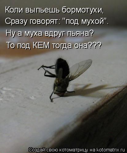 Коли выпьешь бормотухи, Сразу говорят: "под мухой". Ну а муха вдруг пьяна? То под КЕМ тогда она???... Котоматрица: Коли выпьешь бормотухи, Сразу говорят: "под мухой". Ну а муха вдруг пьяна? То под КЕМ тогда она???