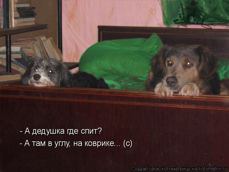 - А дедушка где спит? - А там в углу, на коврике... (с)... Котоматрица: - А дедушка где спит? - А там в углу, на коврике... (с)
