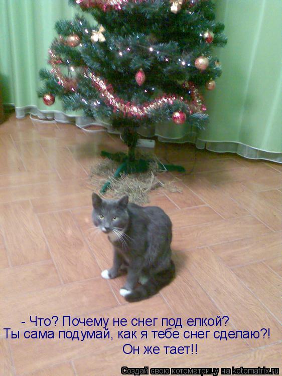 - Что? Почему не снег под елкой? Ты сама подумай, как я тебе снег сделаю?! Он же тает!!... Котоматрица: - Что? Почему не снег под елкой? Ты сама подумай, как я тебе снег сделаю?! Он же тает!!
