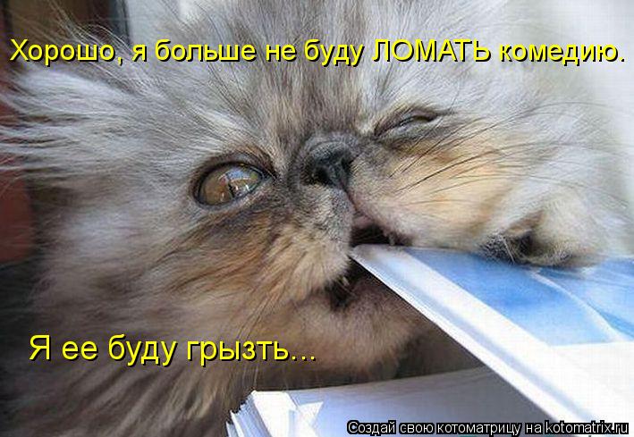 Котоматрица: Хорошо, я больше не буду ЛОМАТЬ комедию. Я ее буду грызть...