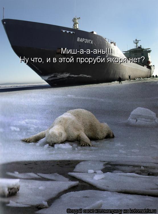 Миш-а-а-ань!!! Ну что, и в этой проруби якоря нет?... Котоматрица: Миш-а-а-ань!!! Ну что, и в этой проруби якоря нет?
