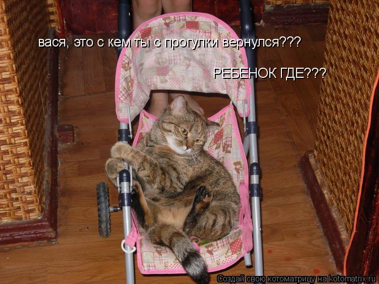 вася, это с кем ты с прогулки вернулся??? РЕБЕНОК ГДЕ???... Котоматрица: вася, это с кем ты с прогулки вернулся??? РЕБЕНОК ГДЕ???