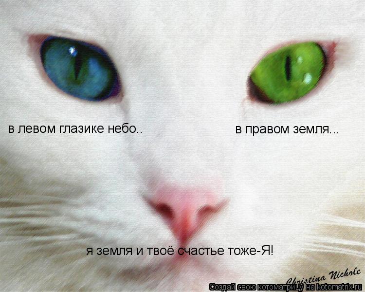 в левом глазике небо.. в правом земля... я земля и твоё счастье тоже-Я!... Котоматрица: в левом глазике небо.. в правом земля... я земля и твоё счастье тоже-Я!