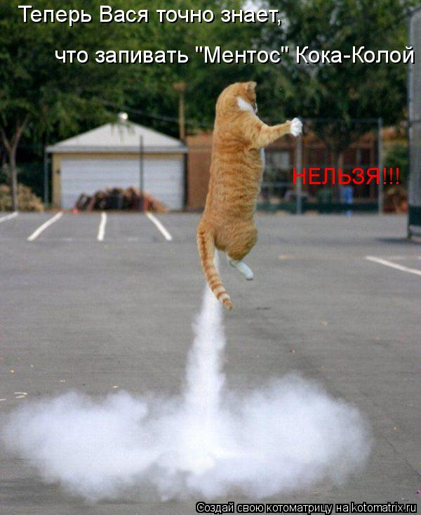 Теперь Вася точно знает, что запивать "Ментос" Кока-Колой НЕЛЬЗЯ!!!... Котоматрица: Теперь Вася точно знает, что запивать "Ментос" Кока-Колой НЕЛЬЗЯ!!!