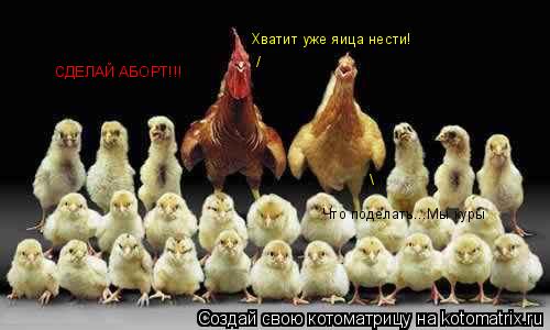 / Хватит уже яица нести! Что поделать...Мы куры СДЕЛАЙ АБОРТ!!!... Котоматрица: / Хватит уже яица нести! Что поделать...Мы куры СДЕЛАЙ АБОРТ!!!
