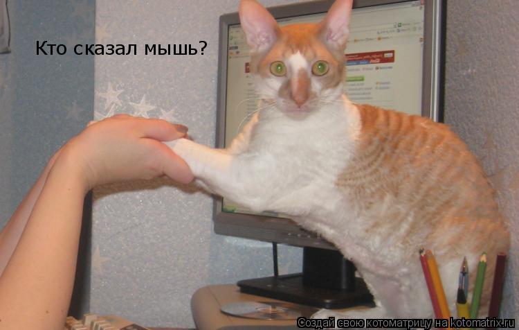 Кто сказал мышь?... Котоматрица: Кто сказал мышь?