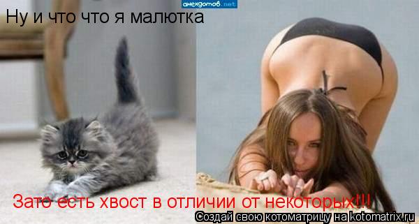 Ну и что что я малютка Зато есть хвост в отличии от некоторых!!!... Котоматрица: Ну и что что я малютка Зато есть хвост в отличии от некоторых!!!