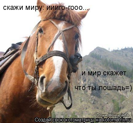 и мир скажет что ты лошадь=) скажи миру: иииго-гооо...... Котоматрица: и мир скажет что ты лошадь=) скажи миру: иииго-гооо...