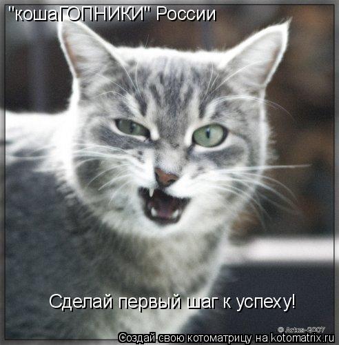 "кошаГОПНИКИ" России Сделай первый шаг к успеху!... Котоматрица: "кошаГОПНИКИ" России Сделай первый шаг к успеху!